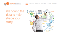 Desktop Screenshot of hammeranalytics.com